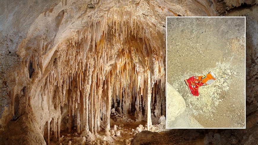 National Park Service blames bag of Cheetos for disrupting entire Carlsbad Caverns ecosystem