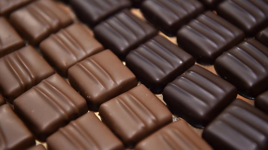 Dark vs. milk chocolate: Americans love one more than the other, but which is 'better' for you?