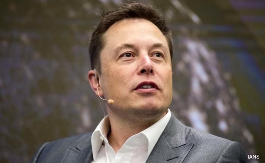 Australia PM Hits Back At Elon Musk After His "Fascists" Quip