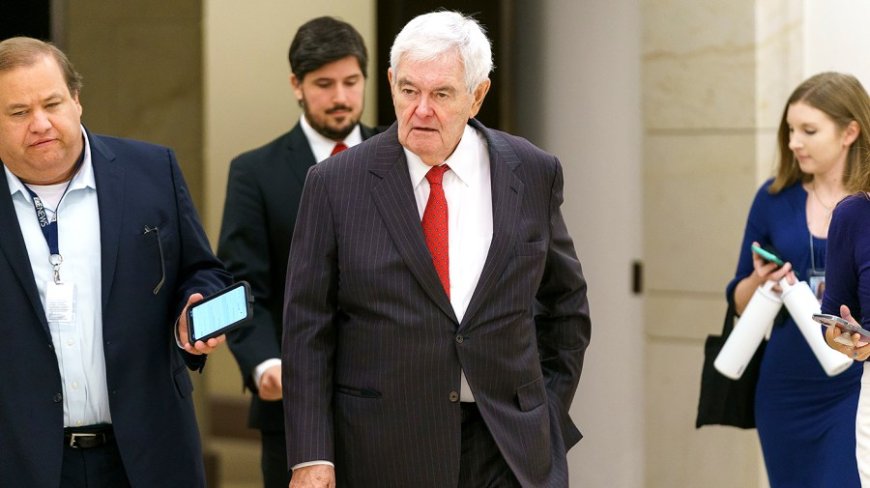 Gingrich: Harris acted like 'spoiled teenager' at debate