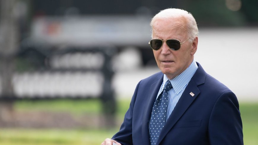 Senate Democrats slam Biden's release of military funds for Egypt over human rights concerns