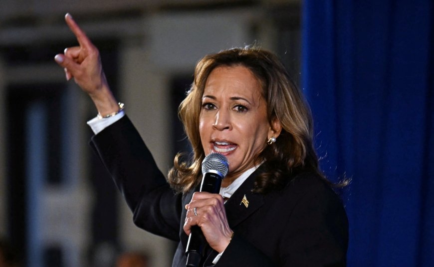 "I'm Glad He's Safe": Kamala Harris After Shots Fired In Trump's Vicinity