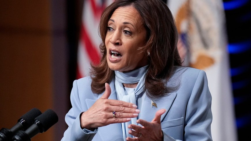 CNN's Bash says you could 'start a drinking game' for every time Harris uses the same talking points