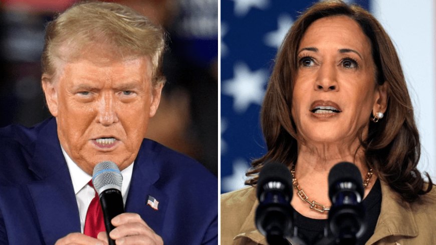 Trump holds 2-point lead over Harris in battleground Michigan: Survey